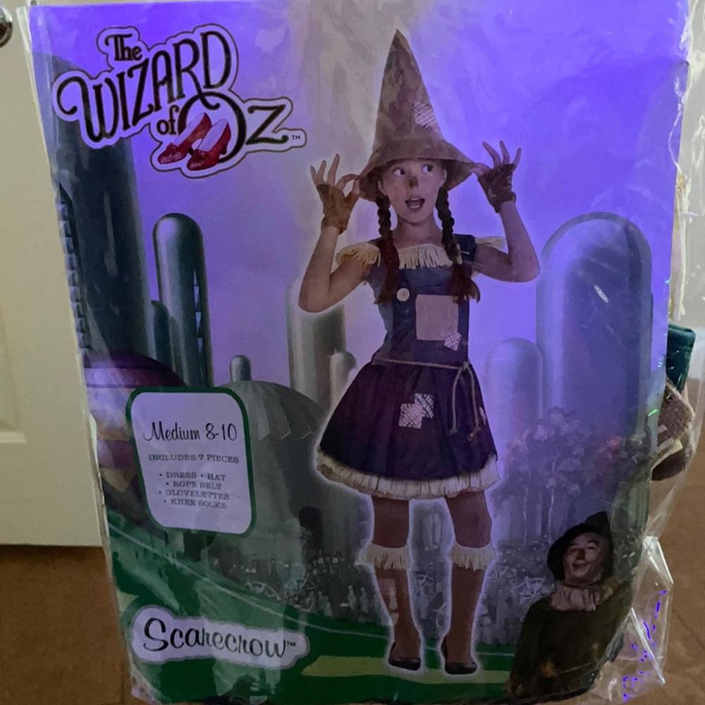 Medium girl the wizard of oz costume 8-10